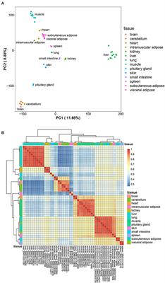 Screening of Bovine Tissue-Specific Expressed Genes and Identification of Genetic Variation Within an Adipose Tissue-Specific lncRNA Gene